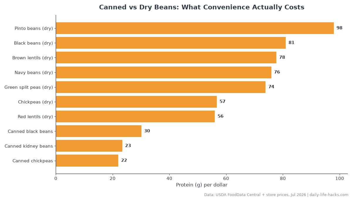 Horizontal bar chart comparing protein per dollar across 10 dry and canned beans, with dry pinto beans first at 98 and canned chickpeas last at 22