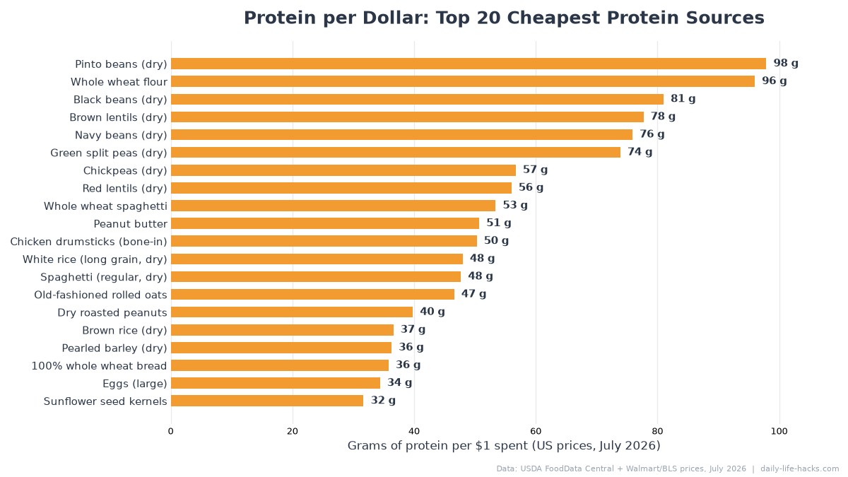 Horizontal bar chart ranking the top 20 cheapest protein sources by grams of protein per dollar, with dried pinto beans in first place